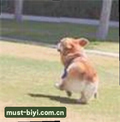 孙莉